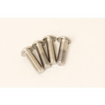 Carburator gasket screws (4 screws)